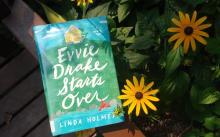 The book Evvie Drake Starts Over by Linda Holmes.
